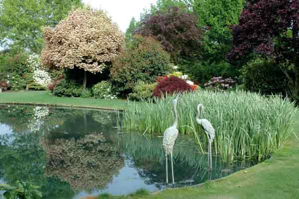Pond with statuary.