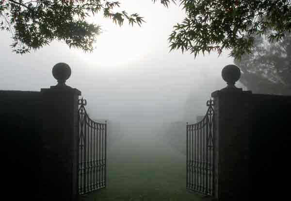 Autumn fog at the entrance to the garden.