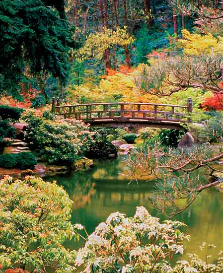 Moon Bridge at the Japanese Garden 
in Portland