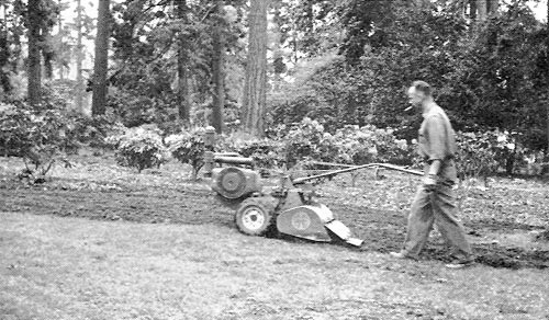 Preparing beds for the rhododendrons at the 
Trial Garden at Crystal Springs Island