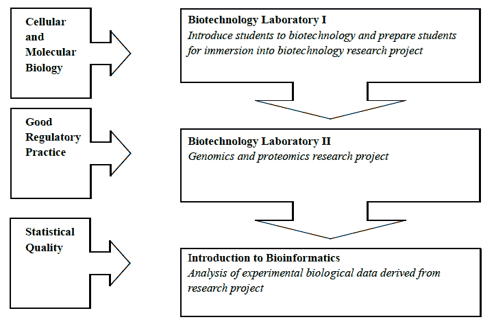 Interrelationships of biotechnology courses within the minor.