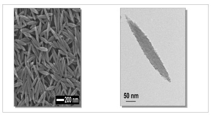 Figure 1. Image on the left is nanorice composed of non-conducting iron oxidehematite covered with gold. Image on the right is a magnified nanorice.