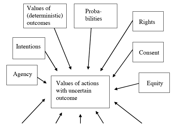 The standard view of how values of indeterministic options can be determined