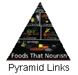 Icon of the food pyramid