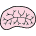 Image of Brain